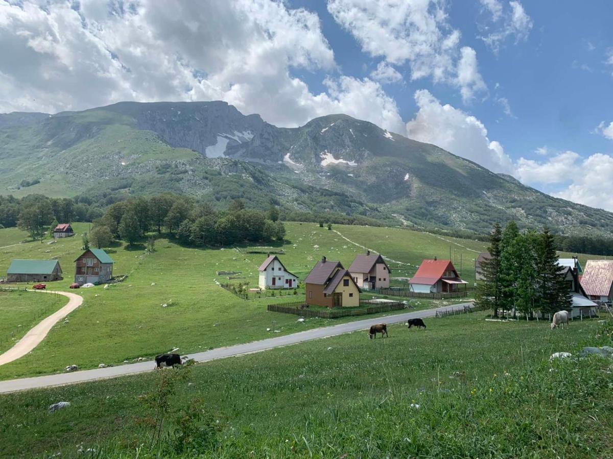 Blackberry House Zabljak Extérieur photo