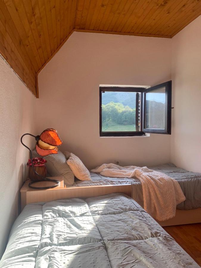 Blackberry House Zabljak Extérieur photo