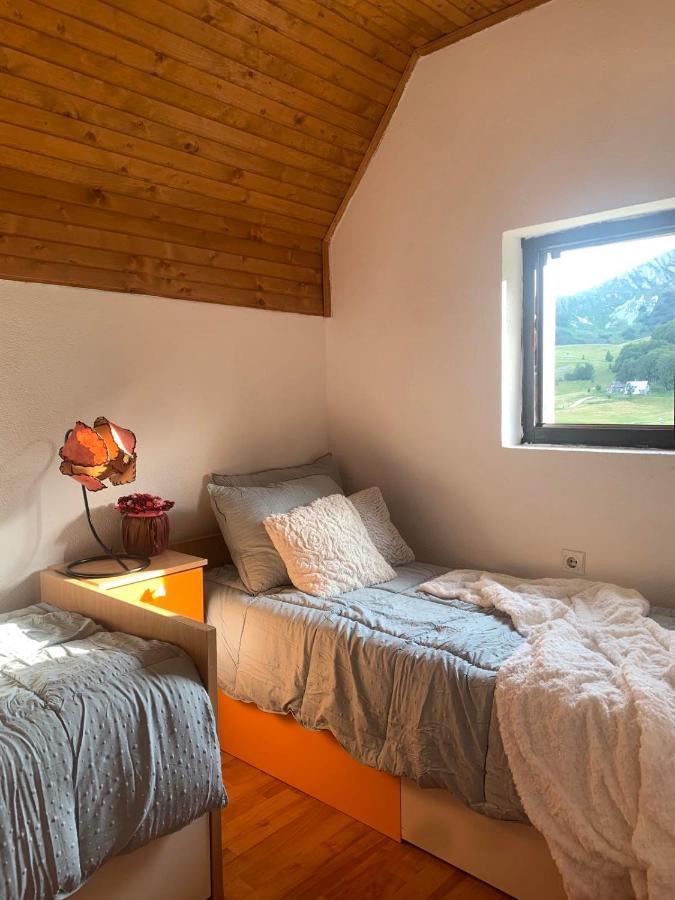Blackberry House Zabljak Extérieur photo