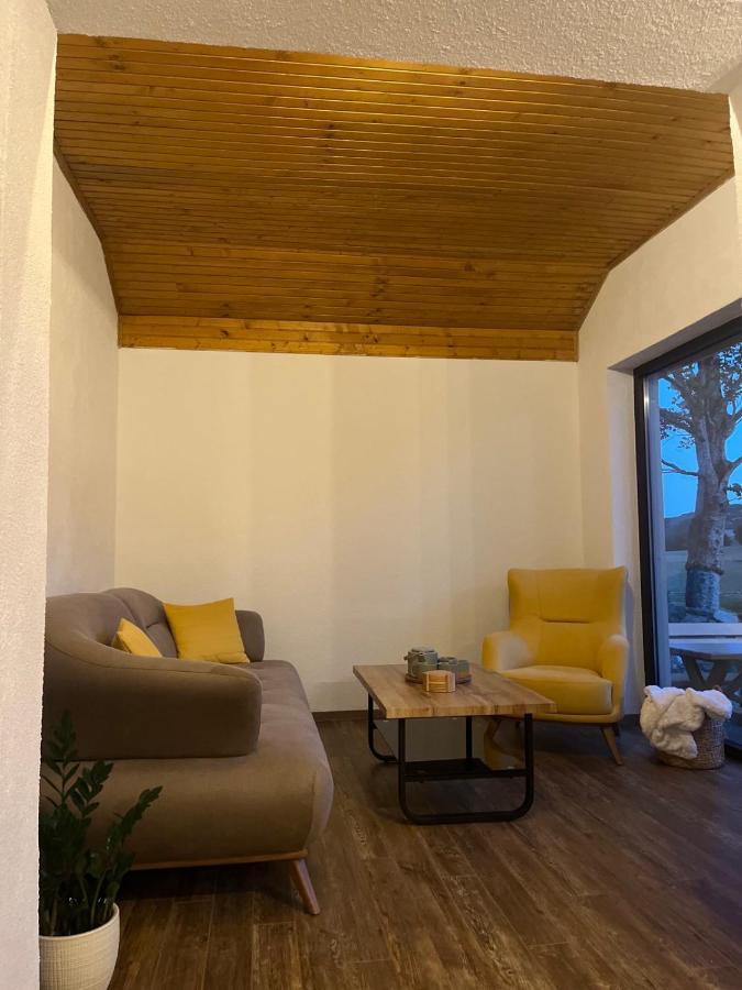 Blackberry House Zabljak Extérieur photo