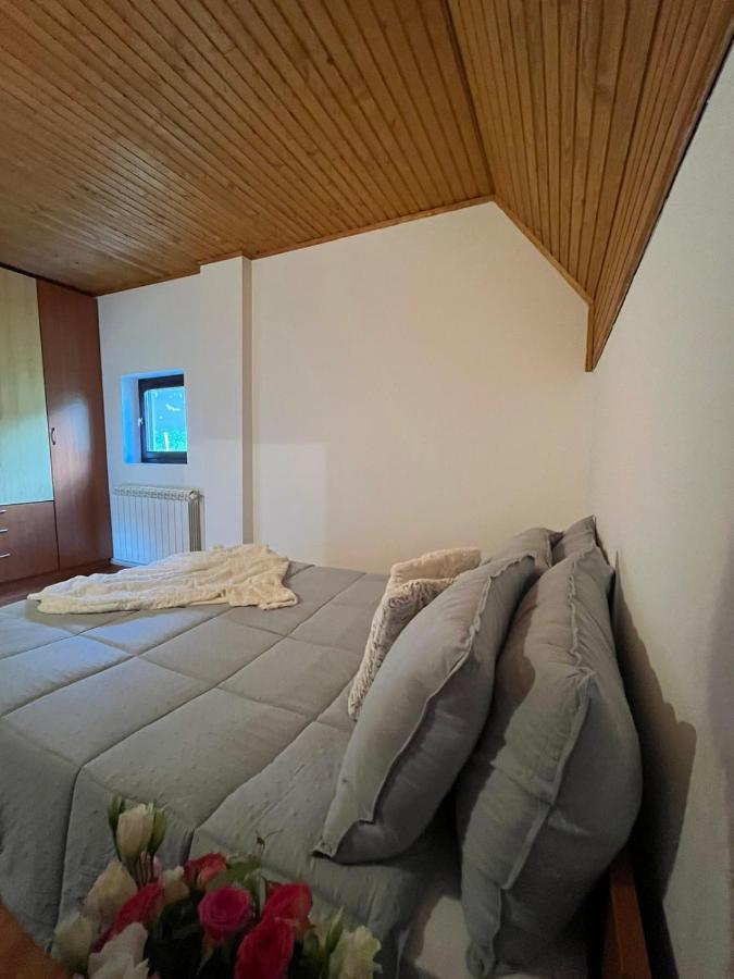 Blackberry House Zabljak Extérieur photo