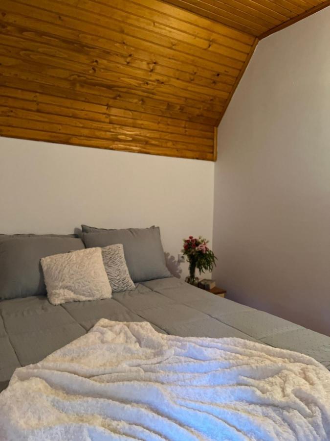 Blackberry House Zabljak Extérieur photo