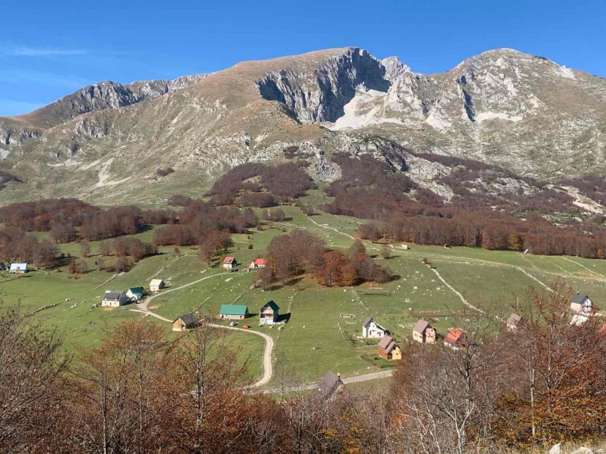 Blackberry House Zabljak Extérieur photo