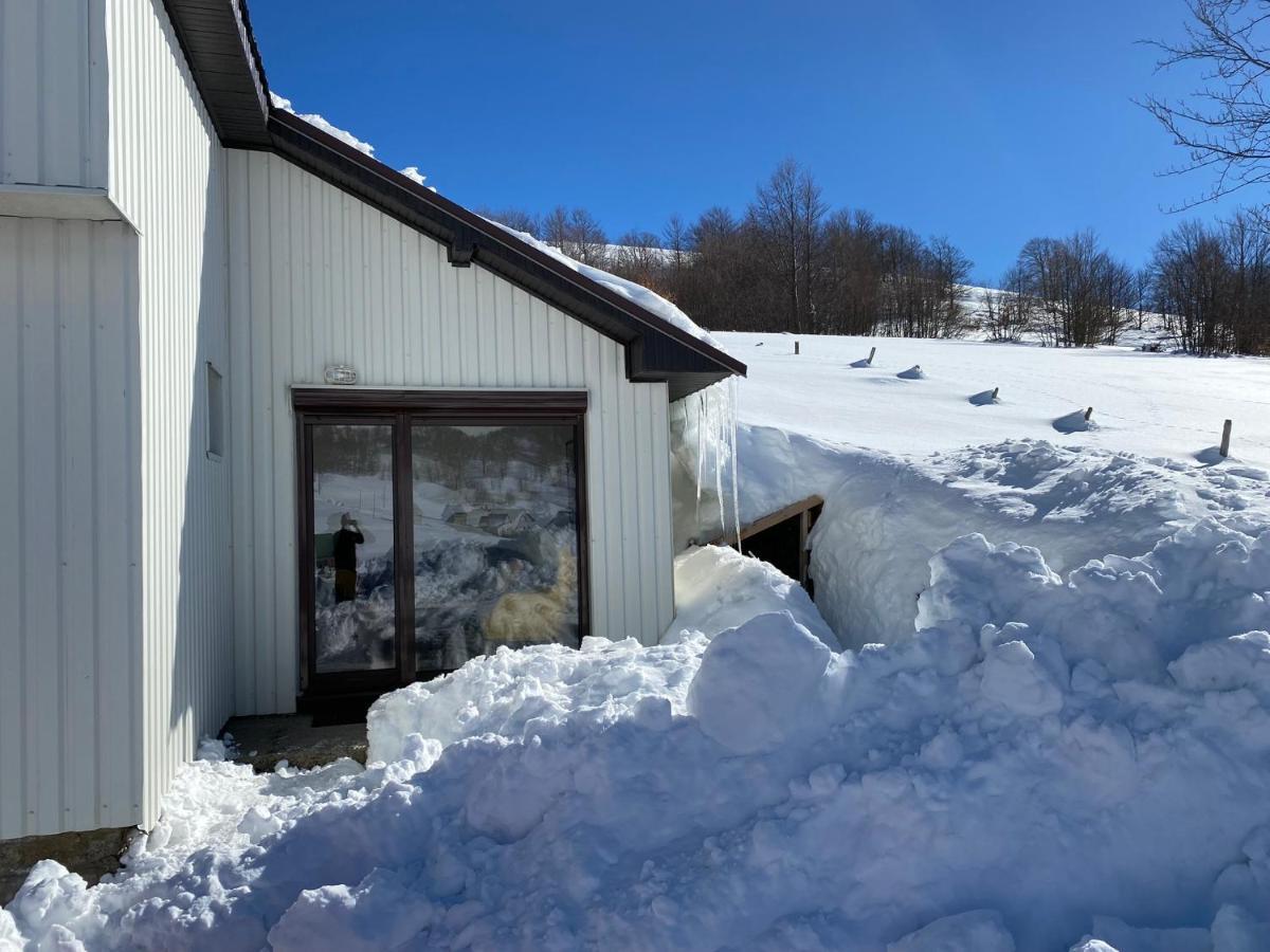 Blackberry House Zabljak Extérieur photo